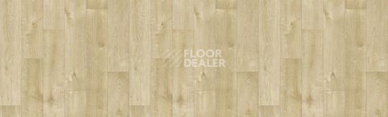 Линолеум Tarkett Bonus DUART 3 фото 1 | FLOORDEALER